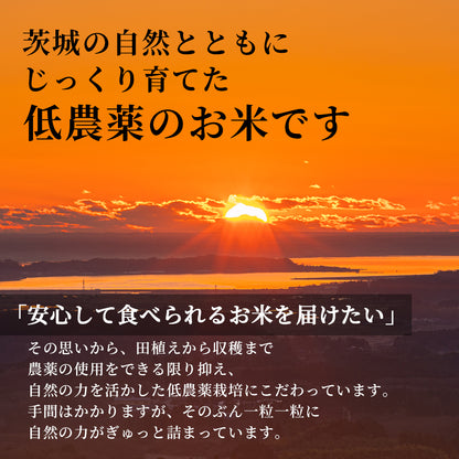 茨城県産 コシヒカリ 玄米