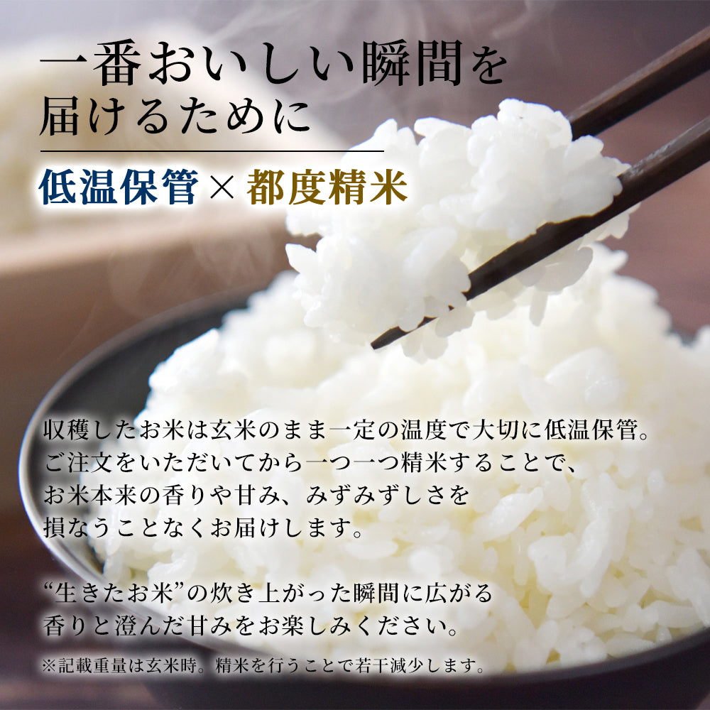 茨城県産 コシヒカリ 玄米