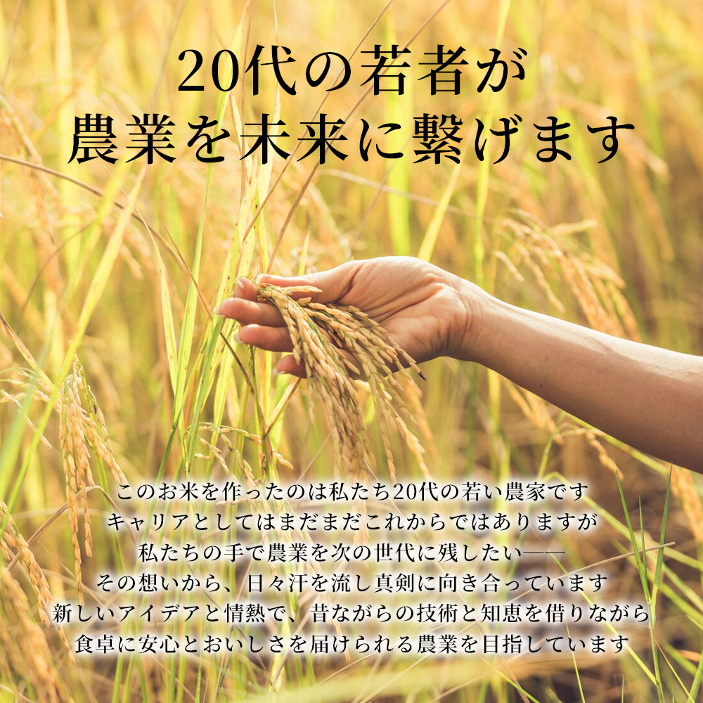 茨城県産 コシヒカリ 玄米