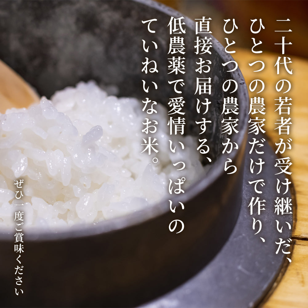 茨城県産 コシヒカリ 玄米